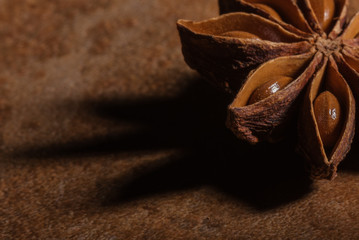 Star Anise macro closep up