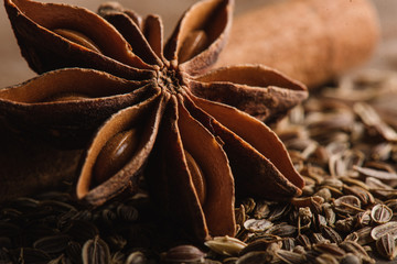 Anise close up with fennel and cinnamon