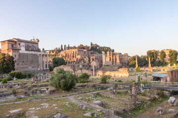 Fototapeta na wymiar Overview of the Ruins of the Forum in Rome Italy