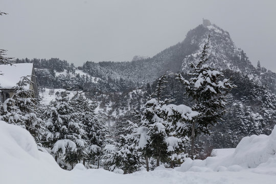 snow 