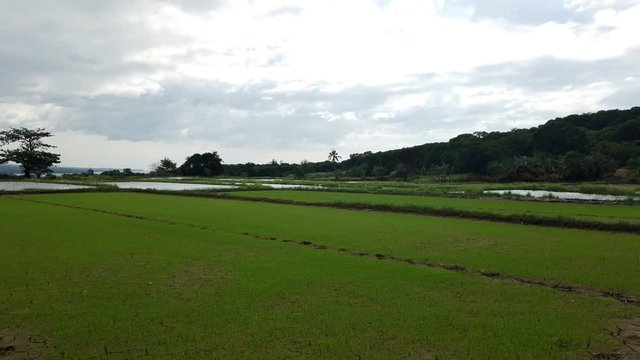 View of the Province Farm Land in Zambales, in the Philippines, Slow Cam