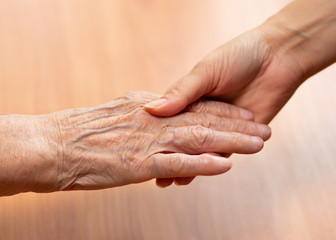 Fototapeta premium Young and old hands hold each other. The concept of love of a young and old generation of people.