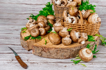 Wicker basket full of fresh champignon mushrooms on cut stump ring with a knife.