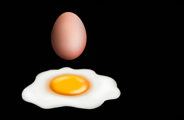Fresh an egg isolated on black background