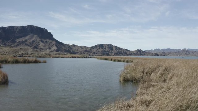Aerial Drone View of Colorado river and Parker dam marsh and wetlands on a bright sunny day showing Arizona and California