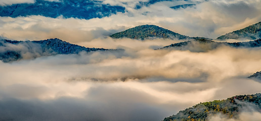 early morning autumn foggy photo at blue ridge parkway north carolina