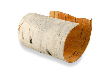 Birch bark isolated on a white background with shadow. Roll of birch bark rolled up on a white background. Birch bark on a white background. Birch bark isolated on a white background.