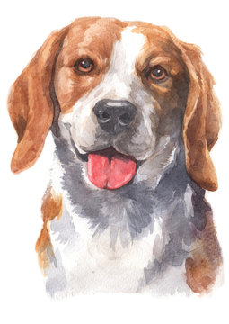 Water colour painting of Beagle dog 085