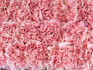 Frame flower made of pink carnation