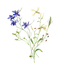 Fototapeta na wymiar A small bouquet of watercolor wild blue flowers