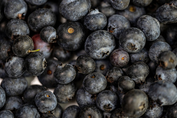 Blaubeeren