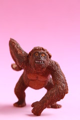 orangutan shaped plastic toy in color background