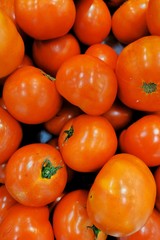 tomatoes at the market