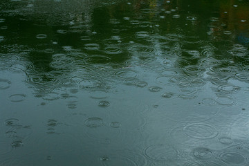 Ripples on the pond water surface on a rainy day