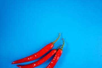 A close up of red hot chili pepper over blue background.