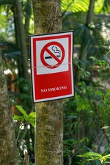 No smoking sign hang on the tree in public park.