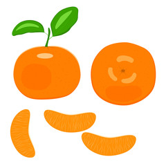 Tangerine. Vector isolated color vector image on white background. Flat design. Delicious and healthy tropical fruit. Tangerine and  slice with green leaf.