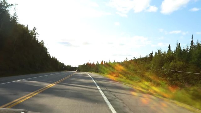 View through windscreen driving along a country highway on a sunny afternoon. The road runs through a pine forest. Shot features colorful lens flare