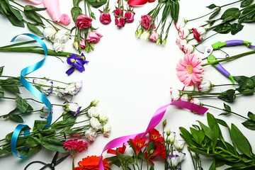 Beautiful fresh flowers on white background