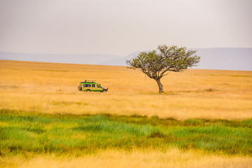 Obraz premium Safari tourists on game drive with Jeep car in Serengeti National Park in beautiful landscape scenery, Tanzania, Africa