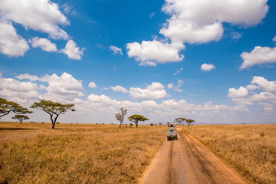 Safari tourists on game drive with Jeep car in Serengeti National Park in beautiful landscape scenery, Tanzania, Africa