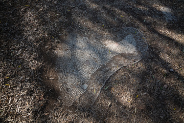 Ancient Roman mosaic in Villa Adriana