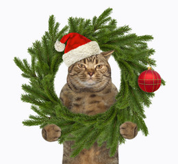 The beige cat in a Santa Claus hat is looking out through the Christmas ring made of fir branches. White background. Isolated.