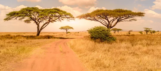 Pirschfahrt auf unbefestigter Straße mit Safari-Auto im Serengeti-Nationalpark in wunderschöner Landschaft, Tansania, Afrika © Simon Dannhauer