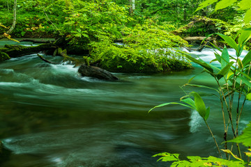 Oirase Stream in Aomori Prefecture