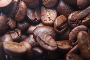 roasted coffee bean texture can be used as background, wallpaper, design material, concept cafe or beverage business photos and more