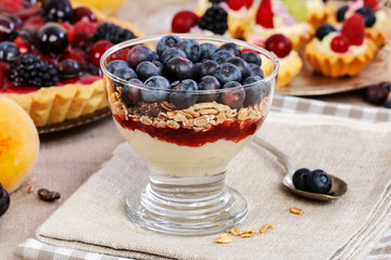 Portion of layer dessert with fresh fruits and muesli.