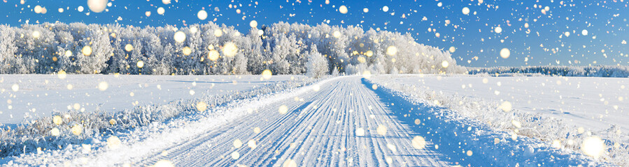 winter landscape panorama with road and forest