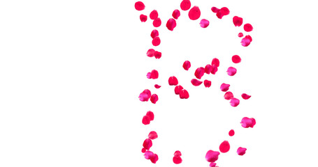 Rose Petal Alphabet with white background
