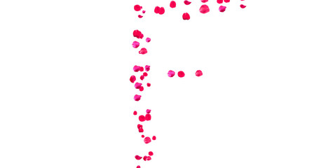 Rose Petal Alphabet with white background