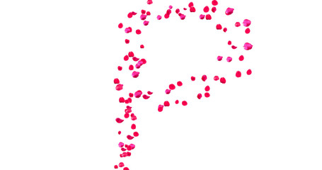 Rose Petal Alphabet with white background