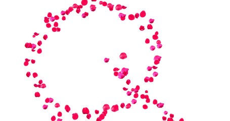 Rose Petal Alphabet with white background