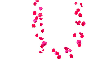 Rose Petal Alphabet with white background