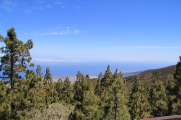 Tenerife. Canaries