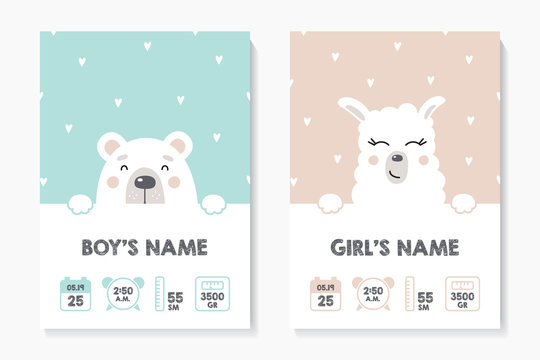 A set of children's posters, height, weight, date of birth. Bear, Lama. Vector illustration on mint and pink background. Illustration newborn metric for children bedroom.