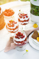 Delicious dessert, treifl of red velvet in a glass, decorated with berries