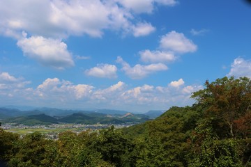 空　秋　風景　山　緑　杤木