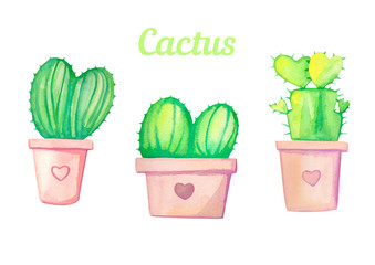 Watercolor hand drawn cactus set with pink flower pot. 