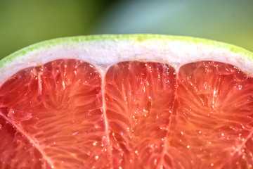closeup slice of watermelon