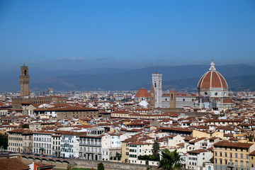 Fototapeta na wymiar View of Florence from a hill