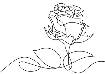 One line rose design. Hand drawn minimalism style illustration