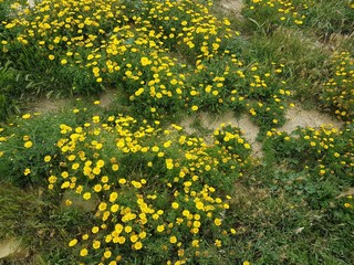 natura
