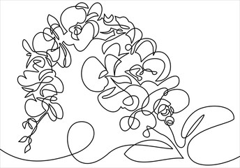 Hand drawn orchid flowers. One line drawing. illustration