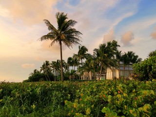 Strand von Naples, Florida