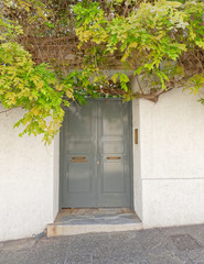 Fototapeta na wymiar house white washed solid wall fence with grey door and foliage, Athens Greece, Plaka neighborhood