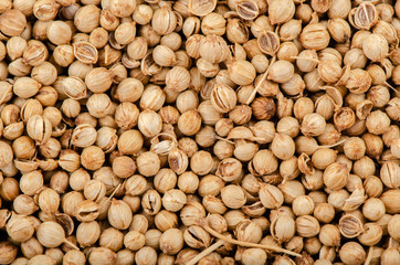 Pile of coriander seeds isolated on white background.